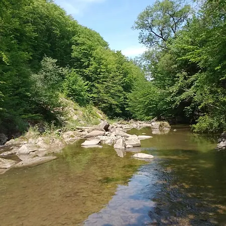 Rokosz - Beskid Niski ファームステイ *